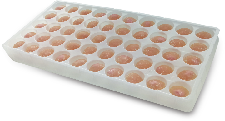 彩香琉璃果<br>Colorful Mochi 
